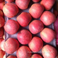 red qinguan apple chinese qinguan apple red qinguan apple